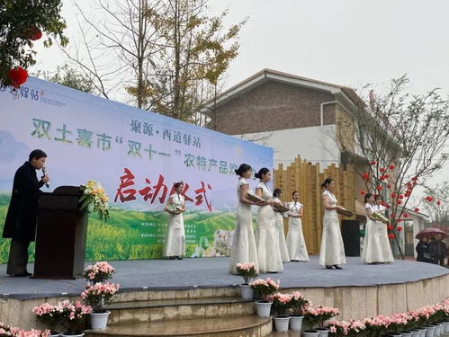 聚源·西道驛站雙土喜市農(nóng)特產(chǎn)品歡樂購暨雙鳳紀(jì)念園活動盛大開啟