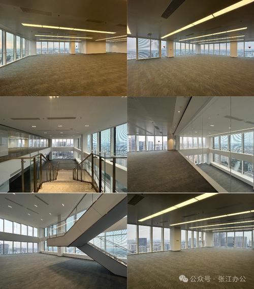 張江高科集鼎天地 上海集成電路設計產業園引領芯潮澎湃與軟件開發新未來